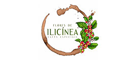 Flores de Ilicineia
